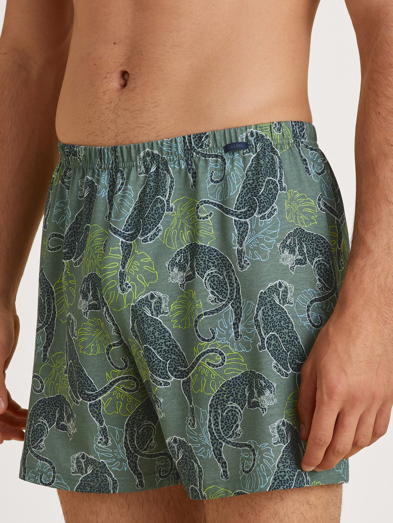 Sous Vêtement Calida Prints Boxer Shorts Vert Homme | UGG-6632011