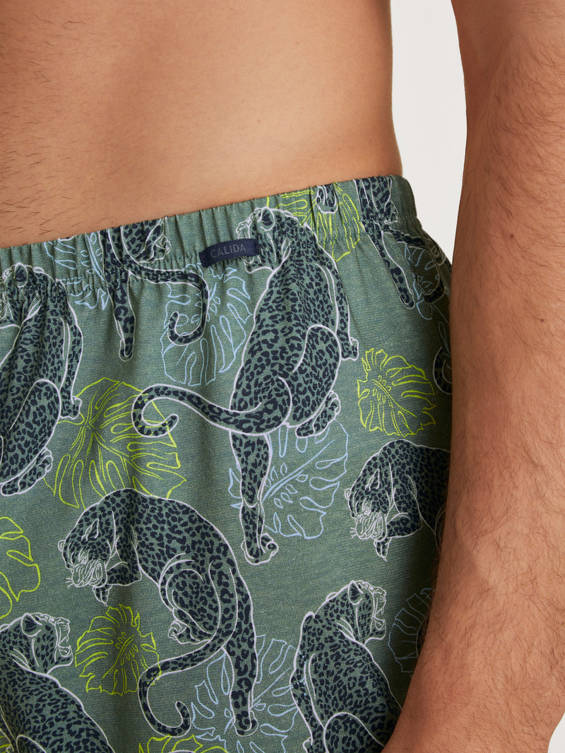 Sous Vêtement Calida Prints Boxer Shorts Vert Homme | UGG-6632011