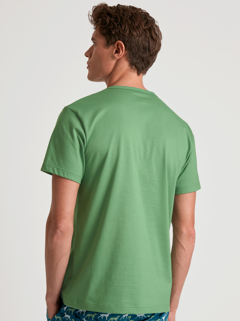 Vêtement De Nuit Calida Rmx Sleep Weekend T-shirt Vert Homme | JPQ-5257701