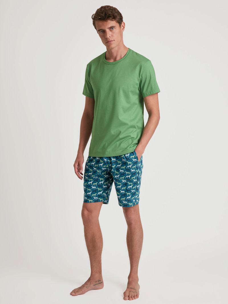 Vêtement De Nuit Calida Rmx Sleep Weekend Bermudas Vert Homme | KWL-1829613